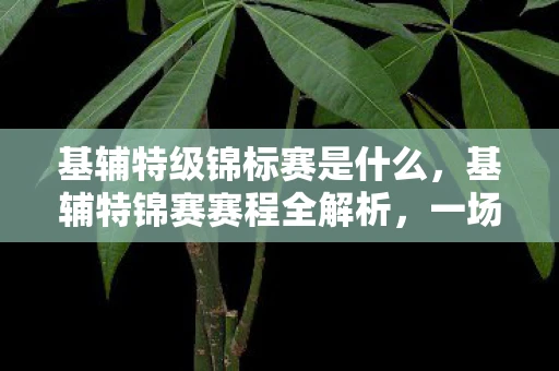 基辅特级锦标赛是什么，基辅特锦赛赛程全解析，一场电竞盛宴的期待与猜想