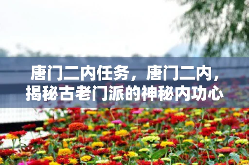 唐门二内任务，唐门二内，揭秘古老门派的神秘内功心法