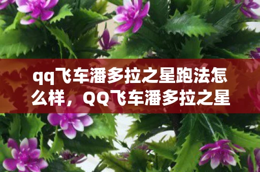 qq飞车潘多拉之星跑法怎么样，QQ飞车潘多拉之星跑法详解