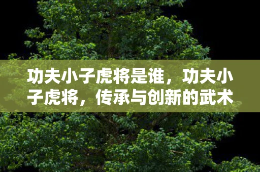 功夫小子虎将是谁，功夫小子虎将，传承与创新的武术之路