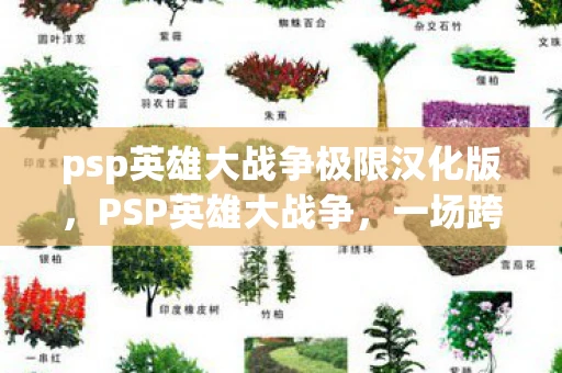 psp英雄大战争极限汉化版，PSP英雄大战争，一场跨越时空的冒险之旅