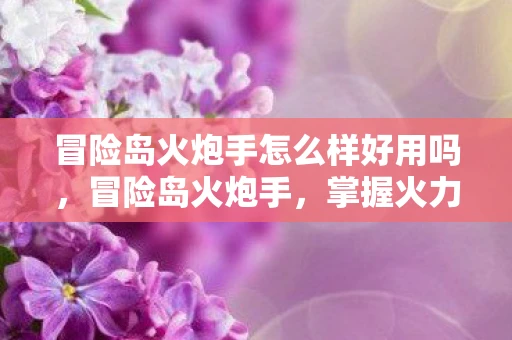 冒险岛火炮手怎么样好用吗，冒险岛火炮手，掌握火力，掌控战场