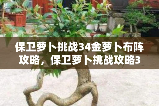 保卫萝卜挑战34金萝卜布阵攻略，保卫萝卜挑战攻略34金萝卜