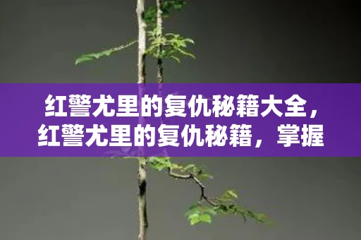 红警尤里的复仇秘籍大全，红警尤里的复仇秘籍，掌握这些技巧，轻松称霸战场