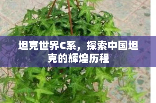 坦克世界C系，探索中国坦克的辉煌历程