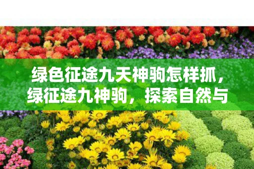 绿色征途九天神驹怎样抓，绿征途九神驹，探索自然与科技的奇妙融合