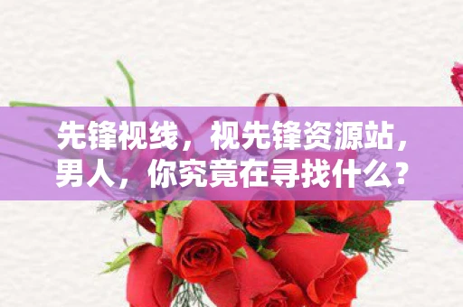先锋视线，视先锋资源站，男人，你究竟在寻找什么？