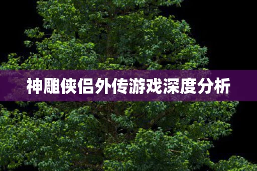 神雕侠侣外传游戏深度分析图片