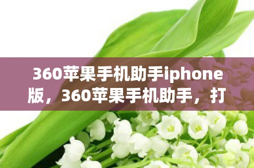 360苹果手机助手iphone版，360苹果手机助手，打造高效便捷的移动设备管理新体验