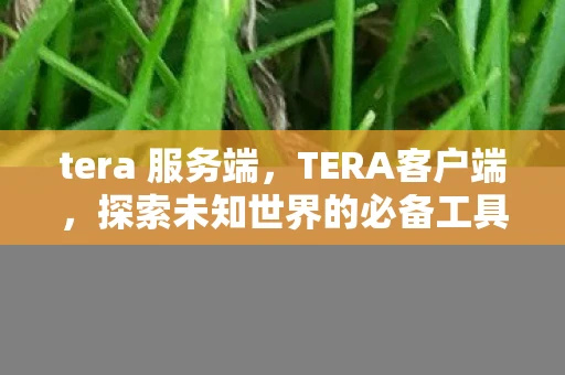 tera 服务端，TERA客户端，探索未知世界的必备工具