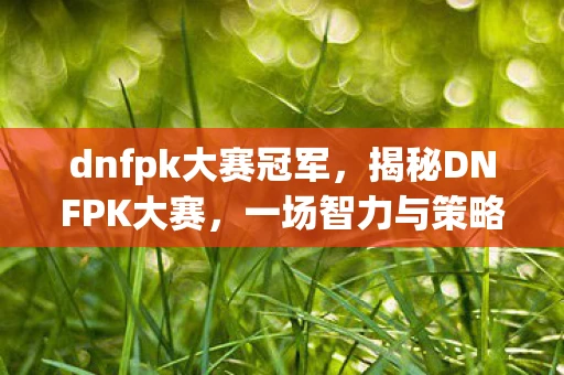 dnfpk大赛冠军，揭秘DNFPK大赛，一场智力与策略的巅峰对决