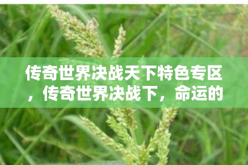 传奇世界决战天下特色专区，传奇世界决战下，命运的交织与荣耀的绽放