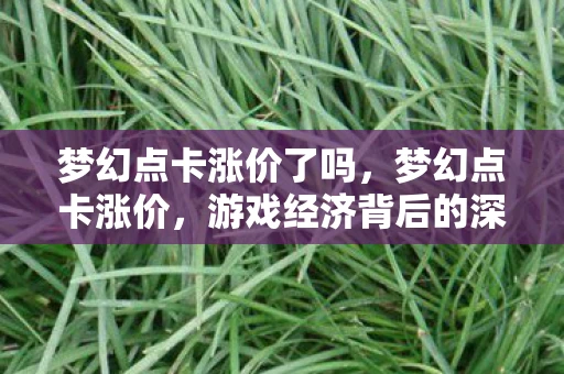 梦幻点卡涨价了吗，梦幻点卡涨价，游戏经济背后的深层原因