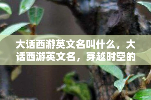 大话西游英文名叫什么，大话西游英文名，穿越时空的浪漫传奇