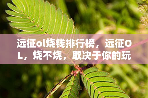 远征ol烧钱排行榜，远征OL，烧不烧，取决于你的玩法