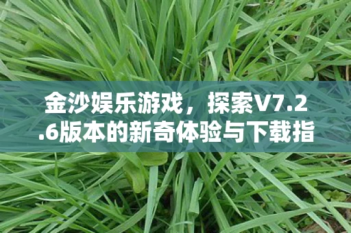 6版本的新奇体验与下载指南图片