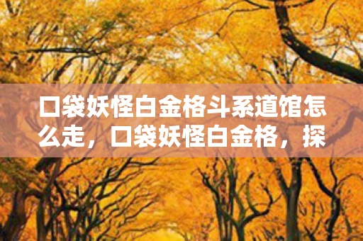 口袋妖怪白金格斗系道馆怎么走，口袋妖怪白金格，探索未知世界的奇妙旅程