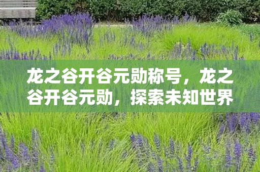 龙之谷开谷元勋称号，龙之谷开谷元勋，探索未知世界的先驱者