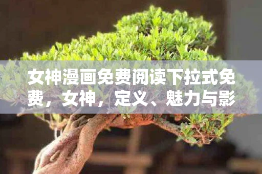 女神漫画免费阅读下拉式免费，女神，定义、魅力与影响