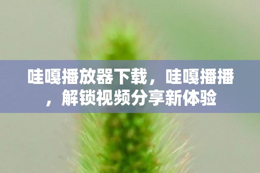 哇嘎播放器下载，哇嘎播播，解锁视频分享新体验