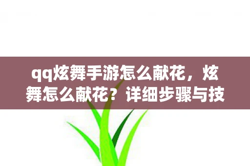 qq炫舞手游怎么献花，炫舞怎么献花？详细步骤与技巧分享