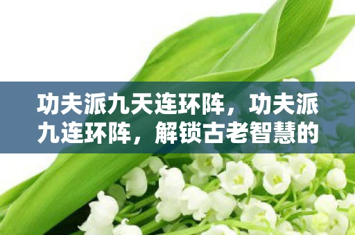 功夫派九天连环阵，功夫派九连环阵，解锁古老智慧的谜题