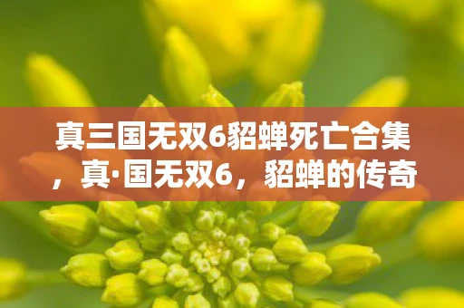 真三国无双6貂蝉死亡合集，真·国无双6，貂蝉的传奇与谜团