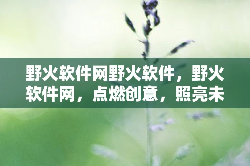 野火软件网野火软件，野火软件网，点燃创意，照亮未来
