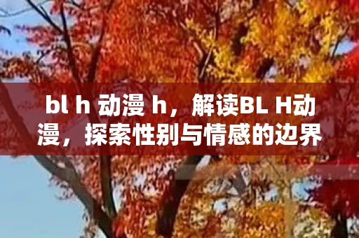 bl h 动漫 h，解读BL H动漫，探索性别与情感的边界