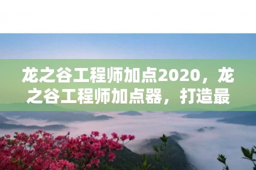 龙之谷工程师加点2020，龙之谷工程师加点器，打造最强工程师的攻略