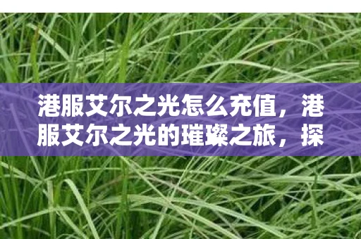港服艾尔之光怎么充值，港服艾尔之光的璀璨之旅，探索未知，点燃希望