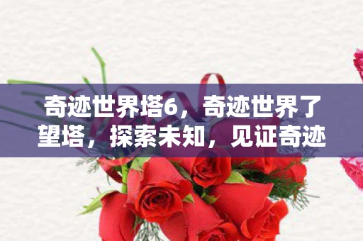 奇迹世界塔6，奇迹世界了望塔，探索未知，见证奇迹