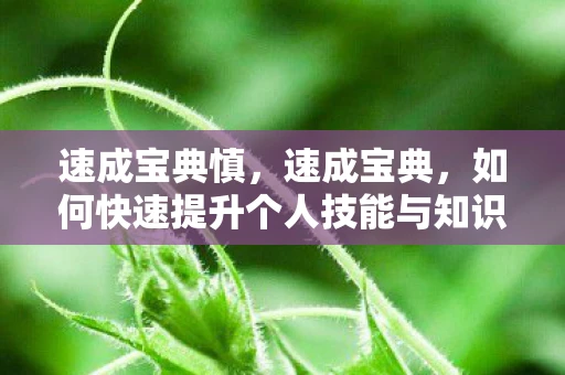 速成宝典慎，速成宝典，如何快速提升个人技能与知识