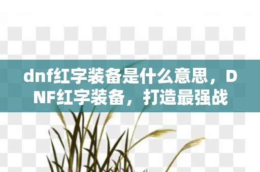 dnf红字装备是什么意思，DNF红字装备，打造最强战斗力的神秘符文