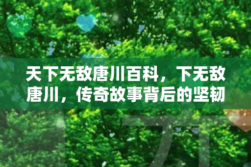 天下无敌唐川百科，下无敌唐川，传奇故事背后的坚韧与智慧