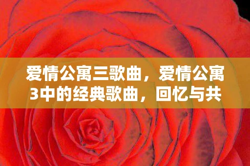 爱情公寓三歌曲，爱情公寓3中的经典歌曲，回忆与共鸣的旋律