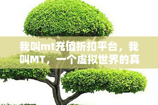我叫mt充值折扣平台，我叫MT，一个虚拟世界的真实人生