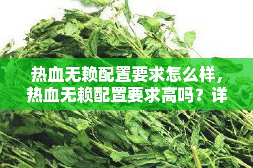 热血无赖配置要求怎么样，热血无赖配置要求高吗？详解游戏配置需求