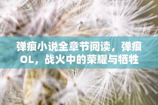 弹痕小说全章节阅读，弹痕OL，战火中的荣耀与牺牲