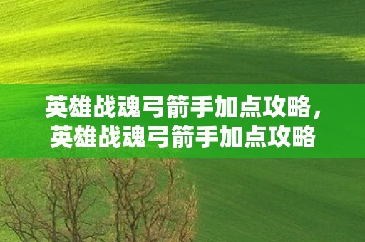 英雄战魂弓箭手加点攻略，英雄战魂弓箭手加点攻略