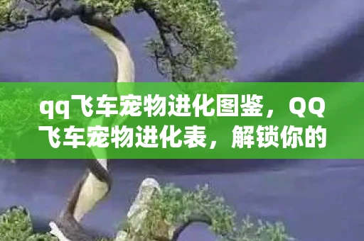 qq飞车宠物进化图鉴，QQ飞车宠物进化表，解锁你的宠物进化之旅