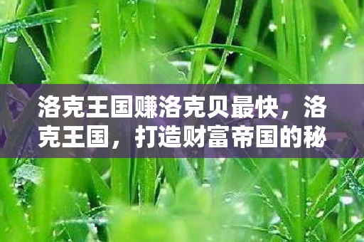 洛克王国赚洛克贝最快，洛克王国，打造财富帝国的秘诀