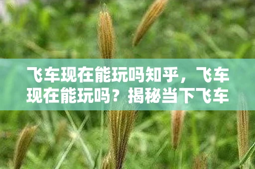 飞车现在能玩吗知乎，飞车现在能玩吗？揭秘当下飞车游戏的现状与体验