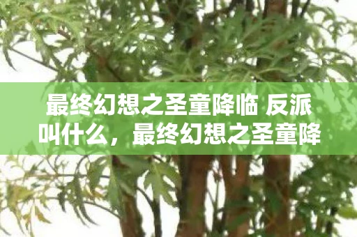 最终幻想之圣童降临 反派叫什么，最终幻想之圣童降临