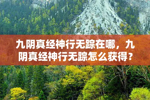 九阴真经神行无踪在哪，九阴真经神行无踪怎么获得？