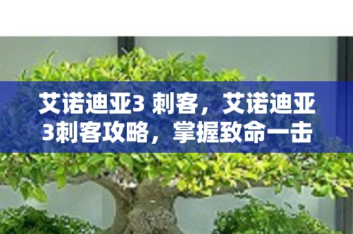 艾诺迪亚3 刺客，艾诺迪亚3刺客攻略，掌握致命一击的奥秘