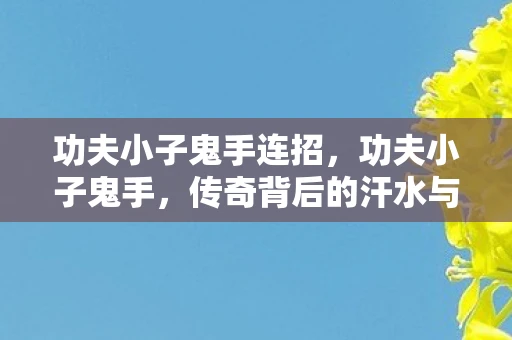 功夫小子鬼手连招，功夫小子鬼手，传奇背后的汗水与坚持
