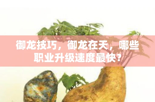 御龙技巧，御龙在天，哪些职业升级速度最快？
