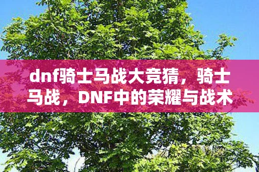 dnf骑士马战大竞猜，骑士马战，DNF中的荣耀与战术