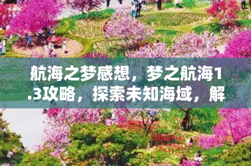 航海之梦感想，梦之航海1.3攻略，探索未知海域，解锁神秘宝藏
